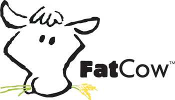 FatCow coupons
